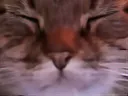 :chat_zoom_yeuxfermes: