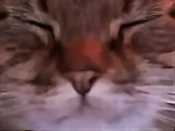 :chat_zoom_yeuxfermes:
