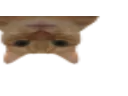 :chatmalcadre: