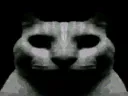 :chat_obscur: