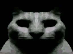 :chat_obscur: