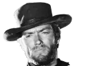 :Clint_malaise_2: