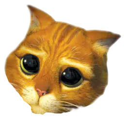 :ChatPotte: