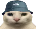:Chat_bob_vnr: