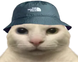 :Chat_bob_vnr: