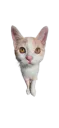 :Mini_chat: