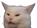 :chatmeme:
