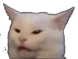 :chatmeme:
