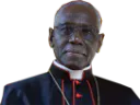 :cardinal_sarah2: