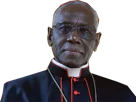 :cardinal_sarah2: