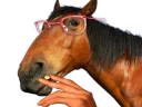 :cheval_lunettes: