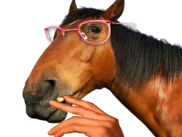 :cheval_lunettes: