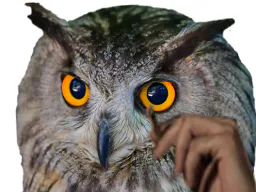 :hibou_fume: