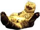 :Chat_mdr: