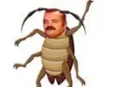 :cafard_risitas: