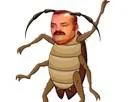 :cafard_risitas:
