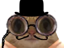 :chat_lunettes_anglais: