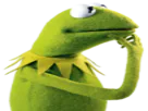 :Kermit_Reflexion:
