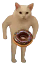 :harceleur_au_donut: