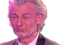 :verdez_pleure: