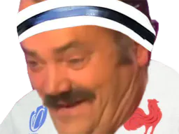 :rugbyahi1: