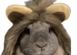 :Lapin_lion:
