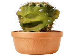 :Risi_Cactus: