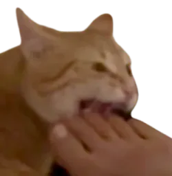 :panard: