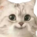 :dacOdac: