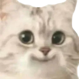 :dacOdac: