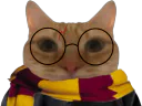 :charry: