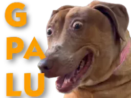 :teddigpalu: