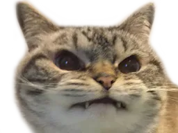 :Angychat: