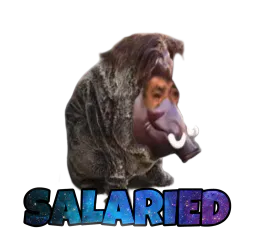 :salaried_by_asterix: