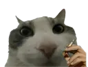 :Pouet_cigarette: