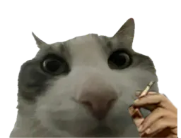 :Pouet_cigarette:
