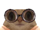 :chat_lunettes_tourne_gros_yeux: