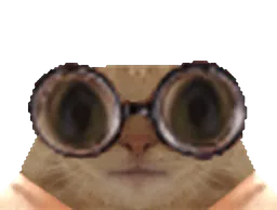 :chat_lunettes_tourne_gros_yeux: