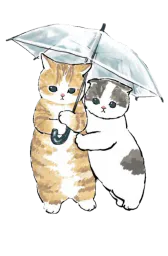 :chatparapluie: