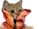 :sodium_deguisement: