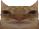 :Chat_long: