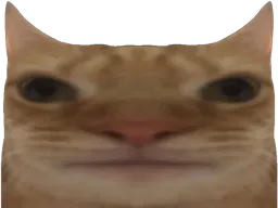 :Chat_long: