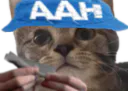 :Chat_AAH_2: