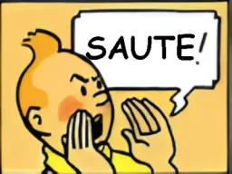:tintinsaute: