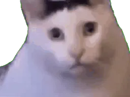 :catto_wut: