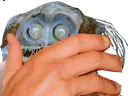 :poissonahi: