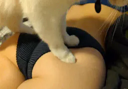 :Catass: