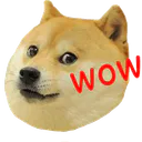 :chien_wow: