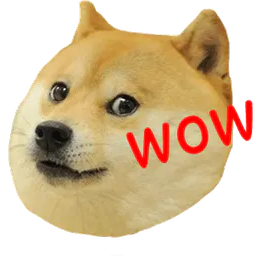 :chien_wow:
