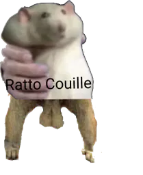 :Ratto_couille: